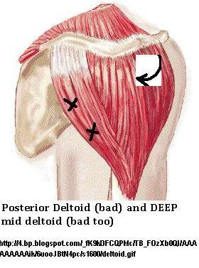 Deltoid Pain