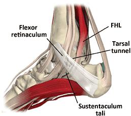 Steroid injection in foot