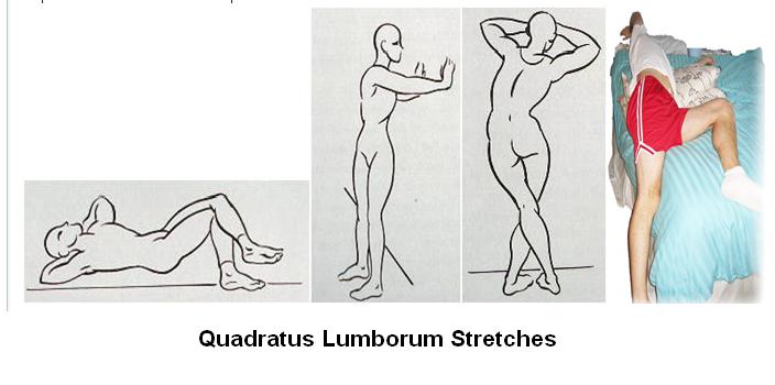 Q L Stretch